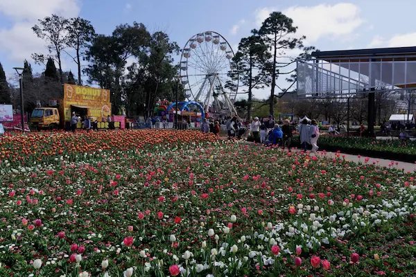 Floriade 2022 (17)